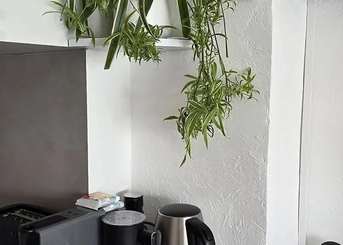 Luxe Apartements Azur Nice